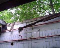 Zerstörtes Dach