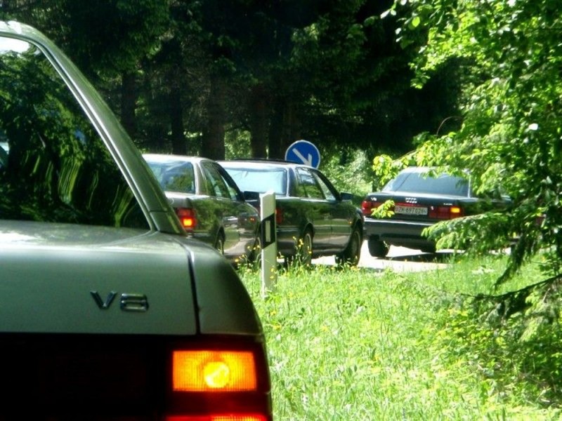 Klare Kanten in grüner Idylle