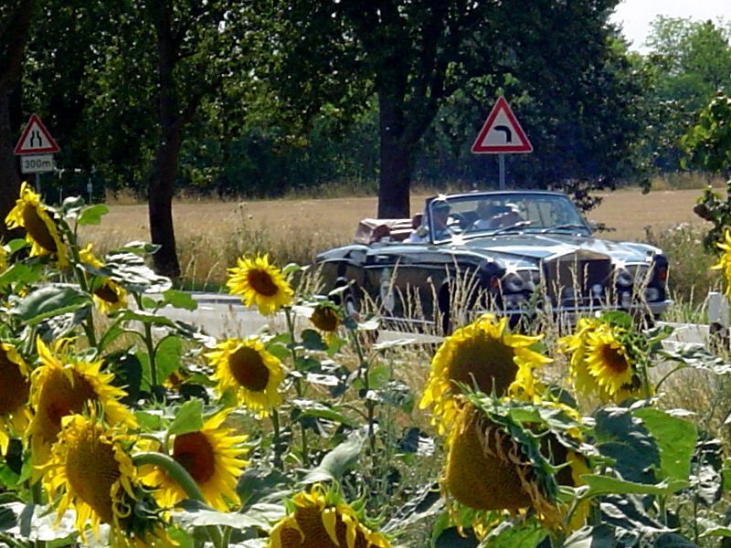 Englischer Corniche und deutsche Sonne