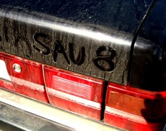 Auto waschen - Notwendigkeit oder Eitelkeit?
