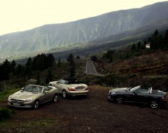 Glänzende Roadster vor der Baumgrenze