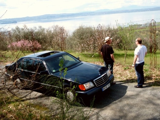 Obstblütenidylle mit Benz