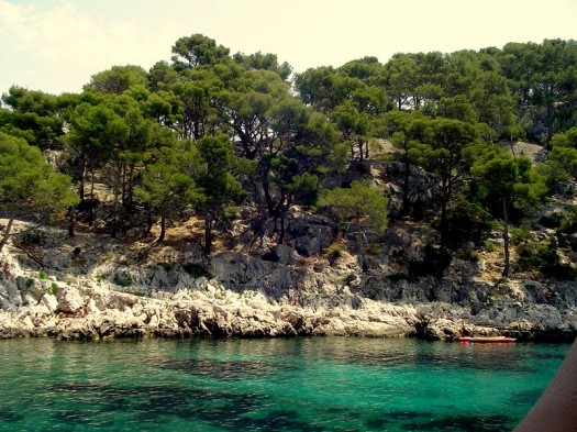 Die Calanque Port Pin, weiß und grün