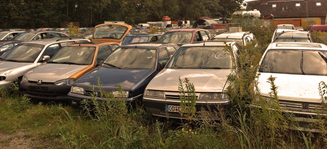 Hier sind sie alle auf ewig vereint