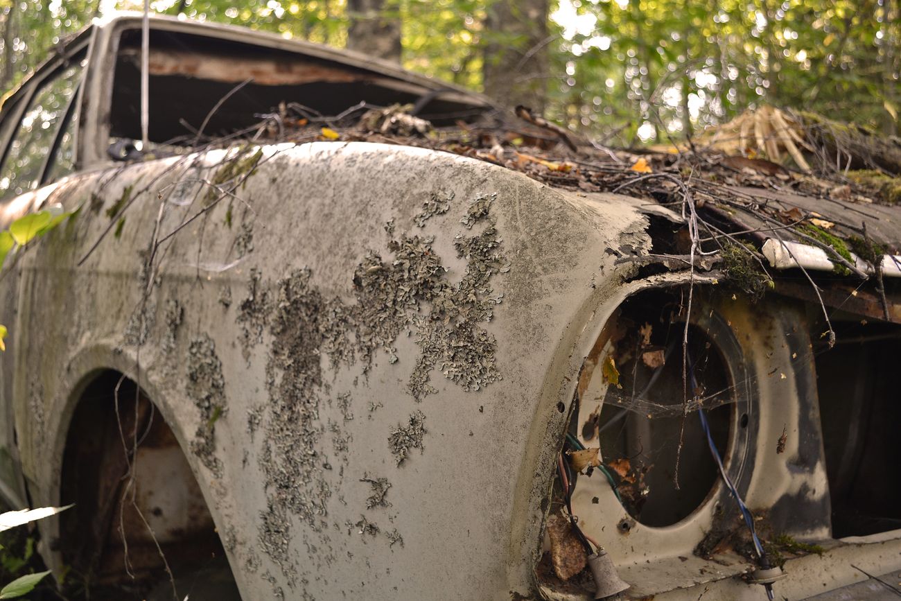 Oberdießen: Umweltsünde: Schrott-Auto im Wald entsorgt